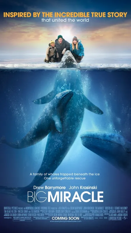 Veľký zázrak (Big Miracle) - fotogaléria