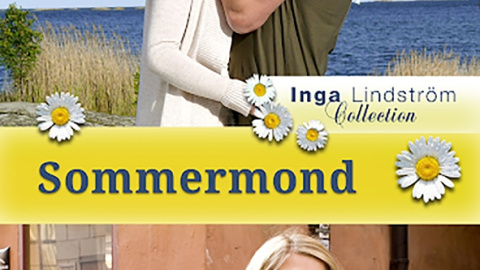 Inga Lindström: Letní noc