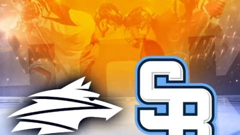 Hokej - Tipsport liga