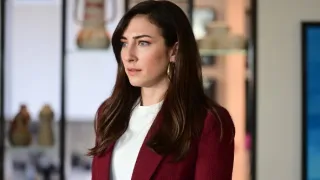 A búcsúlevél (34)