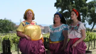 Můj přítel Monk IV (5)