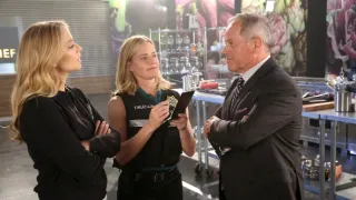 Kriminálka Las Vegas XIV (4)