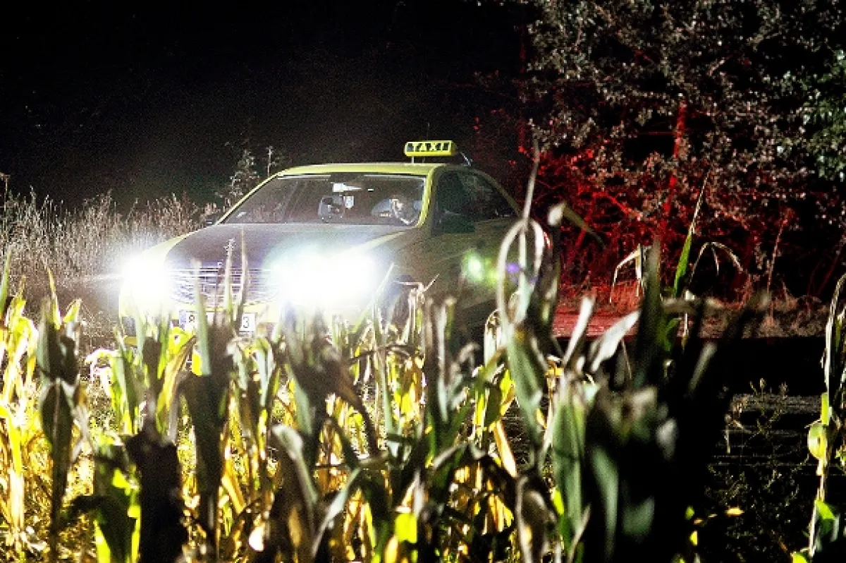 Taxi 121, 2016 - fotogaléria