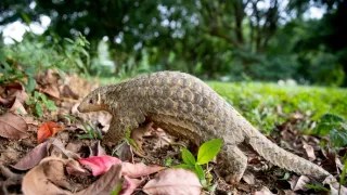 Velká malá putování (1)