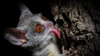 Velká malá putování (1)