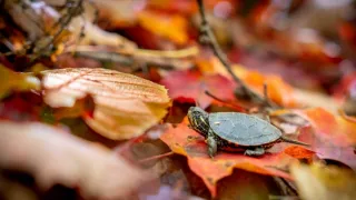 Velká malá putování (1)