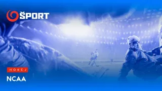 Hokej - NCAA