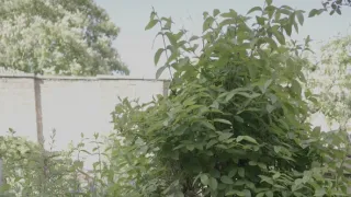 Prvých 72 hodín druhej svetovej vojny (2/3)