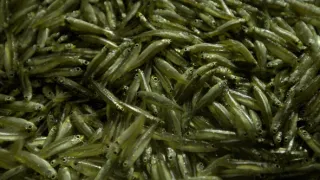 Afrika z výšky (4)