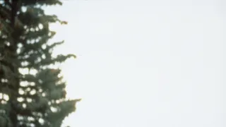 Čo robiť v Denveri, keď je človek mŕtvy