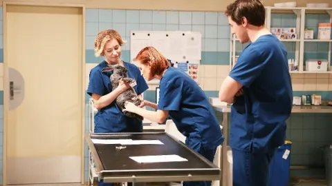 ZOO Nové začátky (205)