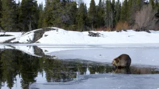 Kouzelné momenty přírody