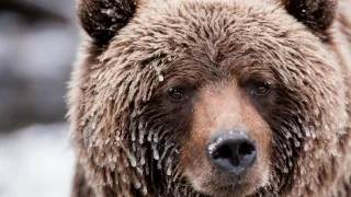 Kouzelné momenty přírody