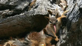Kouzelné momenty přírody