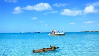 Kouzelné momenty přírody