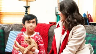 Vianočné volanie lásky