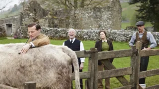 Všechny velké a malé bytosti V