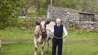 Všechny velké a malé bytosti V