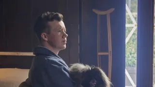 Všechny velké a malé bytosti V