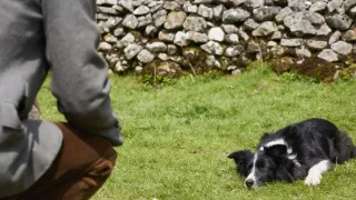 Všechny velké a malé bytosti V