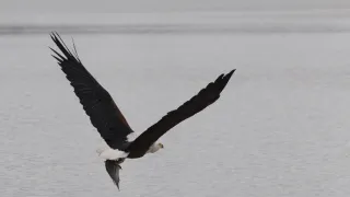 Na cestě po Matabelsku