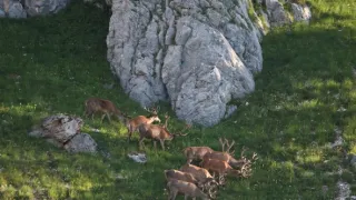 Život v Mrtvých horách