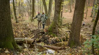Zpátky do přírody