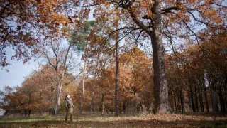 Zpátky do přírody