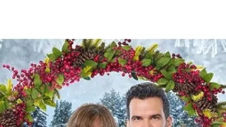 Vianoce v Brusnicovej aleji