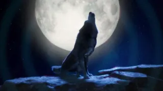 Óriásláb - Családi bevetés