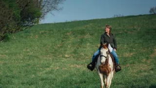 Gentleman s pistolí