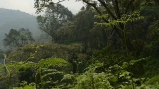 Na cestě po Rwandě