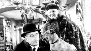 Čintamani & podvodník