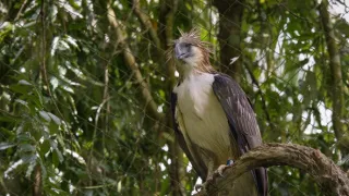 Naděje pro krále nebes