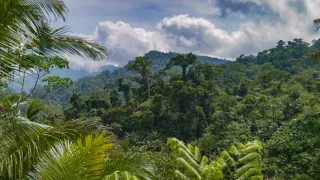 Naděje pro krále nebes