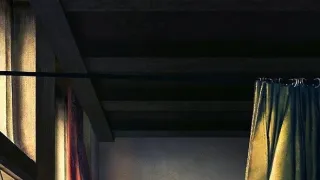 Za závěsem: Vermeerovo tajemství