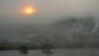 Začalo to v Yellowstonu - národní parky USA a jejich příroda