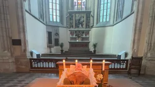 Petr Brandl - barokní rebel