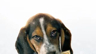 Nezabudnuteľné Vianoce