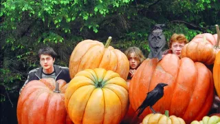 Harry Potter a vězeň z Azkabanu