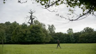 Zpátky do přírody