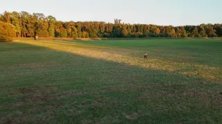 Zpátky do přírody