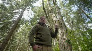 Zpátky do přírody