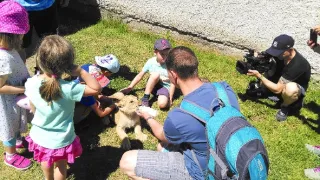 Výměna manželek IX