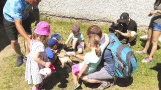 Výměna manželek IX