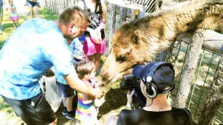 Výměna manželek IX