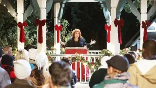 Tajemství vánočního jmelí