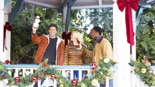 Tajemství vánočního jmelí