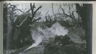 Přední linie (7/8)