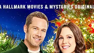 Vianočný večierok